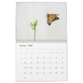 Monarch Butterflies-Kalender 2025 Kalender (Jan 2027)
