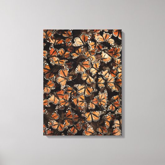 Monarch Butterflies Leinwanddruck (Vorderseite)