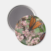 Monarch Butterflies Magnet (Vorderseite/Rückseite)