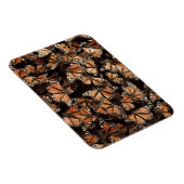 Monarch Butterflies Magnet (Rechte Seite)