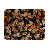 Monarch Butterflies Magnet (Horizontal)