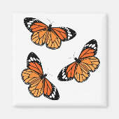 Monarch Butterflies Magnete Magnet (Vorne)