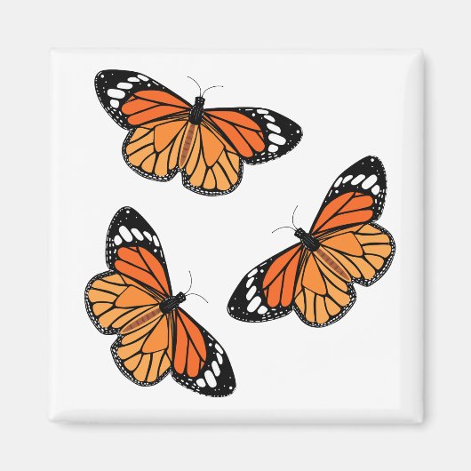 Monarch Butterflies Magnete Magnet (Vorne)