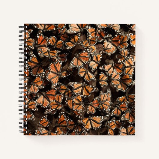 Monarch Butterflies Notizblock (Vorderseite)