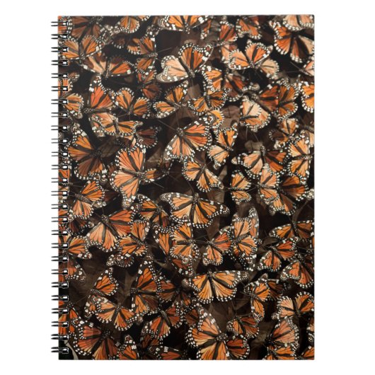 Monarch Butterflies Notizblock (Vorderseite)
