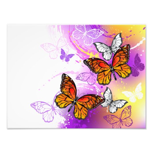 Monarch Butterflies on Purple Background Fotodruck (Vorne)