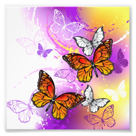 Monarch Butterflies on Purple Background Fotodruck (Vorne)