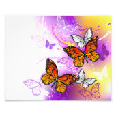 Monarch Butterflies on Purple Background Fotodruck (Vorne)