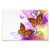 Monarch Butterflies on Purple Background Fotodruck (Vorne)