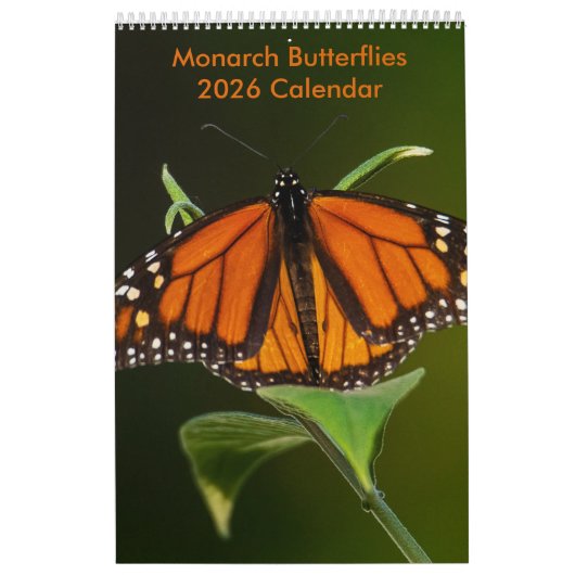 Monarch Butterflies One Page Calendar Kalender (Titelbild)