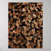 Monarch Butterflies Poster (Vorne)