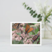 Monarch Butterflies Postkarte (Stehend Vorderseite)