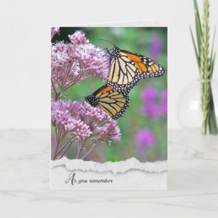 Monarch Butterflies Sympathie-Karte Karte