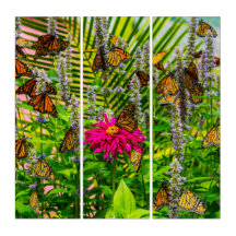 Monarch Butterflies Triptych