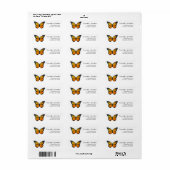 Monarch Butterfly (Vorne)