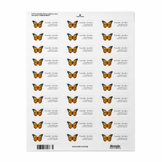 Monarch Butterfly (Vorne)