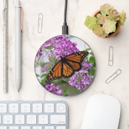 Monarch Butterfly