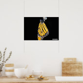 Monarch Butterfly 2022 - Poster (Küche)