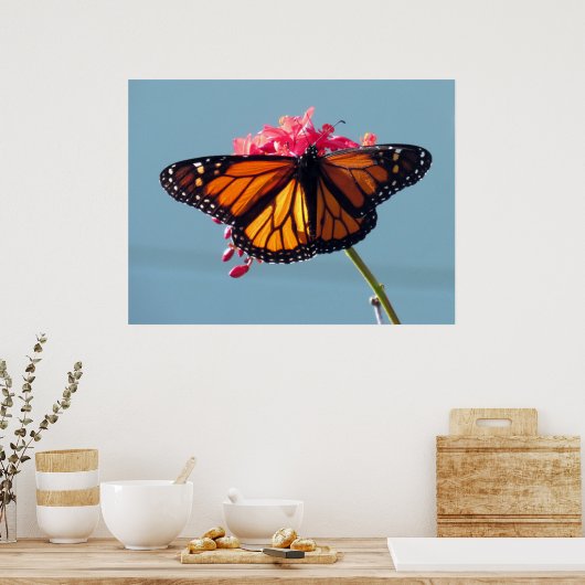 Monarch Butterfly 6066 Poster (Küche)