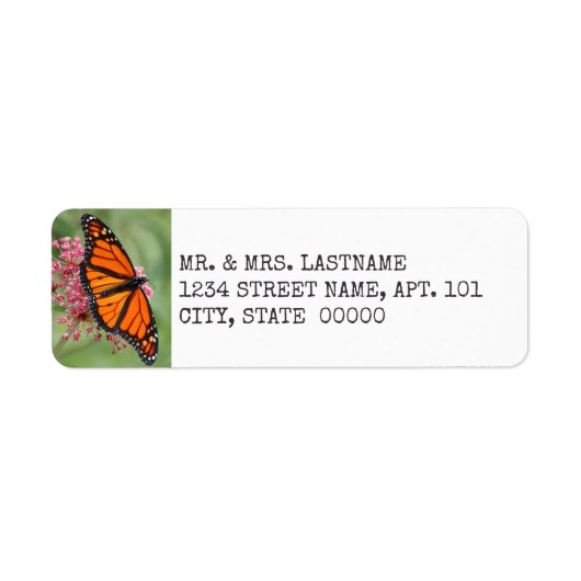 Monarch Butterfly Address Labels (Vorne)