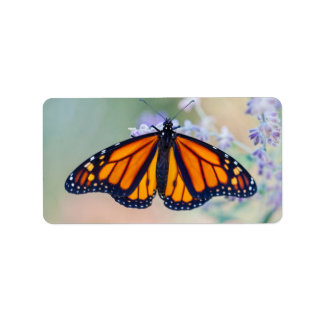 Monarch Butterfly Adressaufkleber