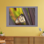 Monarch Butterfly auf Agave Leinwanddruck (Insitu (Wohnzimmer))
