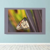 Monarch Butterfly auf Agave Leinwanddruck (Insitu (Holzboden))