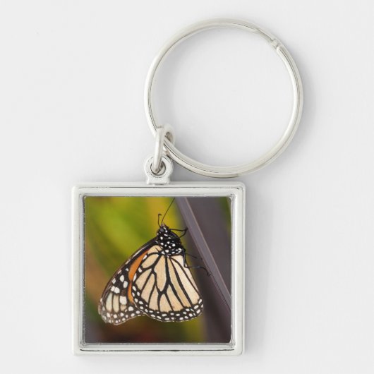 Monarch Butterfly auf Agave Schlüsselanhänger (Vorne)