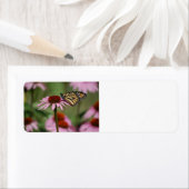 Monarch Butterfly auf Blume (Insitu)