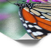 Monarch Butterfly auf Blume 10x8 Natur Fotodruck (Ecke)