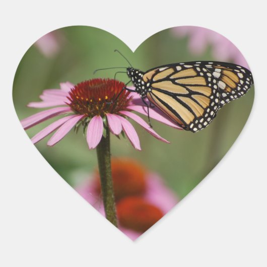 Monarch Butterfly auf Blume Herz-Aufkleber (Vorderseite)