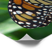 Monarch Butterfly auf Blume Poster (Ecke)