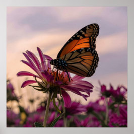Monarch Butterfly auf Blume Poster