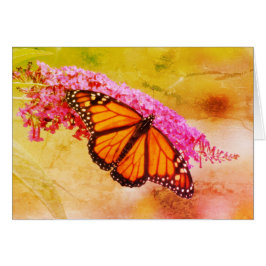 Monarch Butterfly auf Buddleia