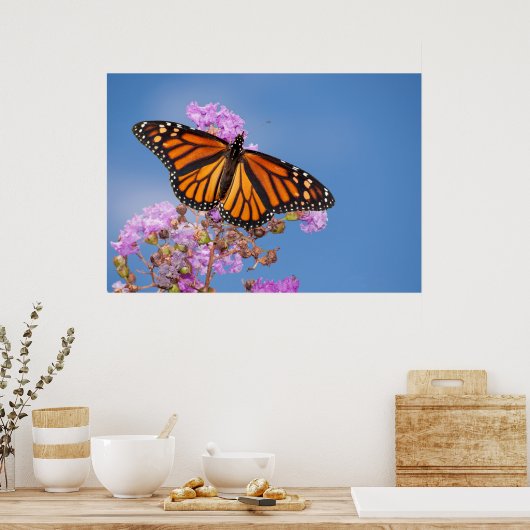 Monarch Butterfly auf Crape Myrtle Poster (Küche)
