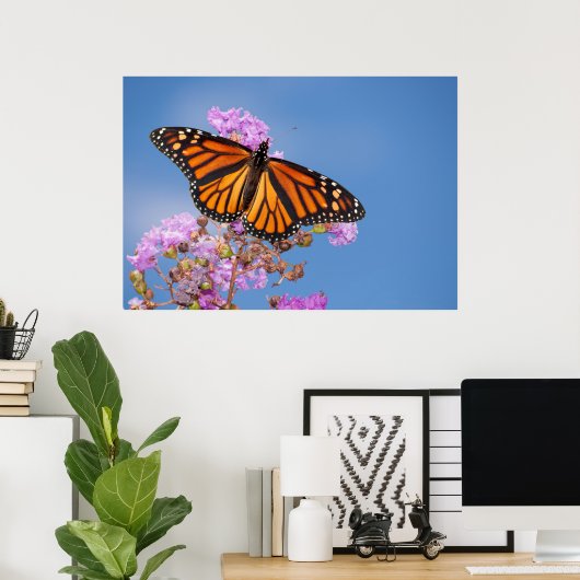 Monarch Butterfly auf Crape Myrtle Poster (Heimbüro)