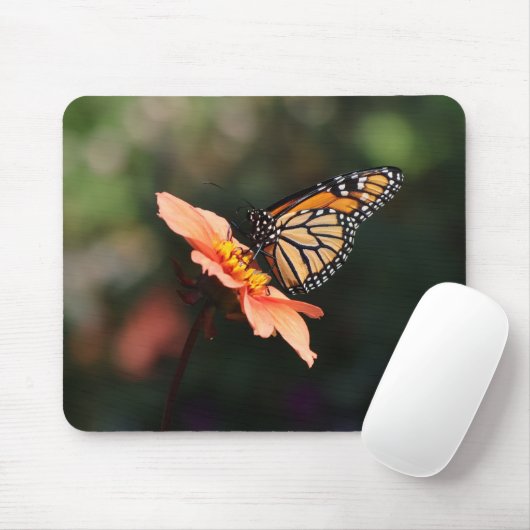 Monarch Butterfly auf Dahlia Mousepad (Mit Mouse)