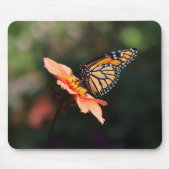 Monarch Butterfly auf Dahlia Mousepad (Vorne)