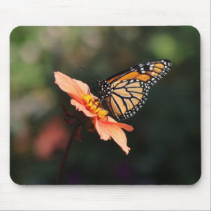 Monarch Butterfly auf Dahlia Mousepad