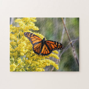 Monarch Butterfly auf dem Goldenrod Puzzle