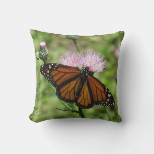 Monarch Butterfly auf dem rosafarbenen Kissen