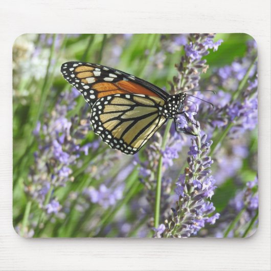 Monarch Butterfly auf den Lavendel-Blume Mousepad (Vorne)