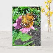 Monarch Butterfly auf der Blume Echinacea Karte (Gelbe Blume)