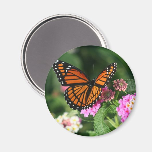 Monarch Butterfly auf der Blume Lantana Magnet (Vorderseite/Rückseite)