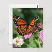 Monarch Butterfly auf der Blume Lantana Postkarte (Vorne/Hinten)