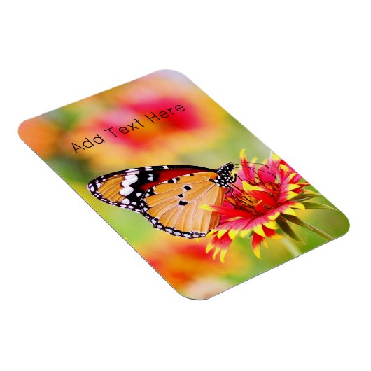 Monarch Butterfly auf der Blume Rot und Gelb Magnet (Rechte Seite)