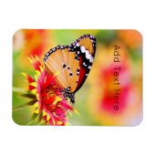 Monarch Butterfly auf der Blume Rot und Gelb Magnet (Horizontal)