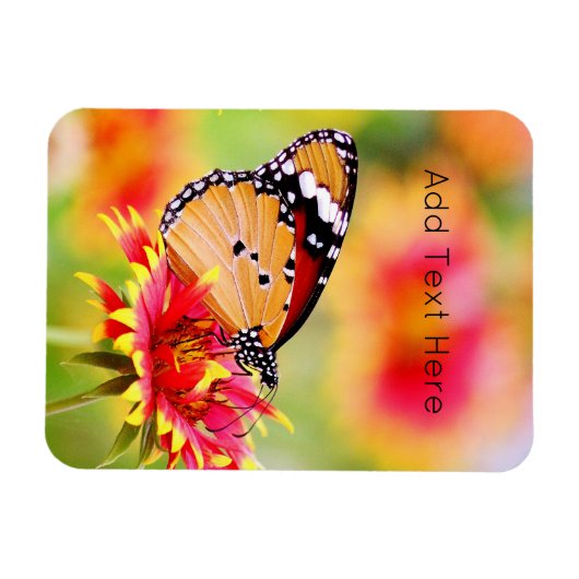 Monarch Butterfly auf der Blume Rot und Gelb Magnet (Horizontal)