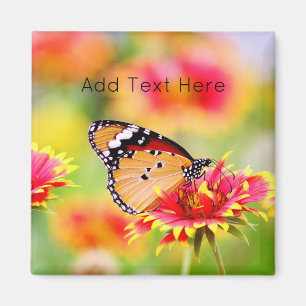 Monarch Butterfly auf der Blume Rot und Gelb Magnet
