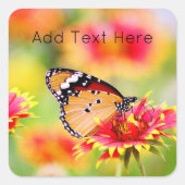 Monarch Butterfly auf der Blume Rot und Gelb Quadratischer Aufkleber (Vorderseite)